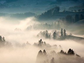 摄影师的视角，探索生物地理的奥秘摄影师拍摄生物地理视频